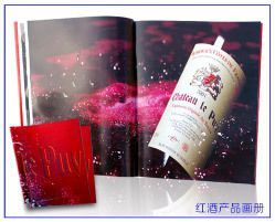 Boosting Global Reach: Premium Inventory of Sports Accessories Brochures & English Surfing Catalogs for Shenzhen Exporters